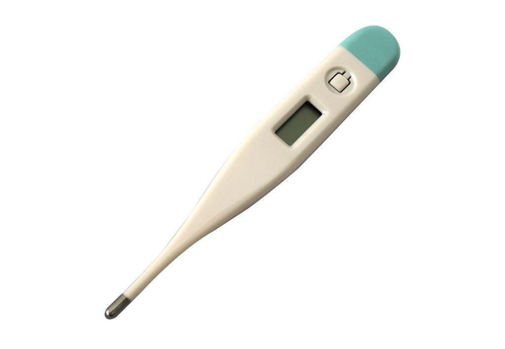 Digital Thermometer